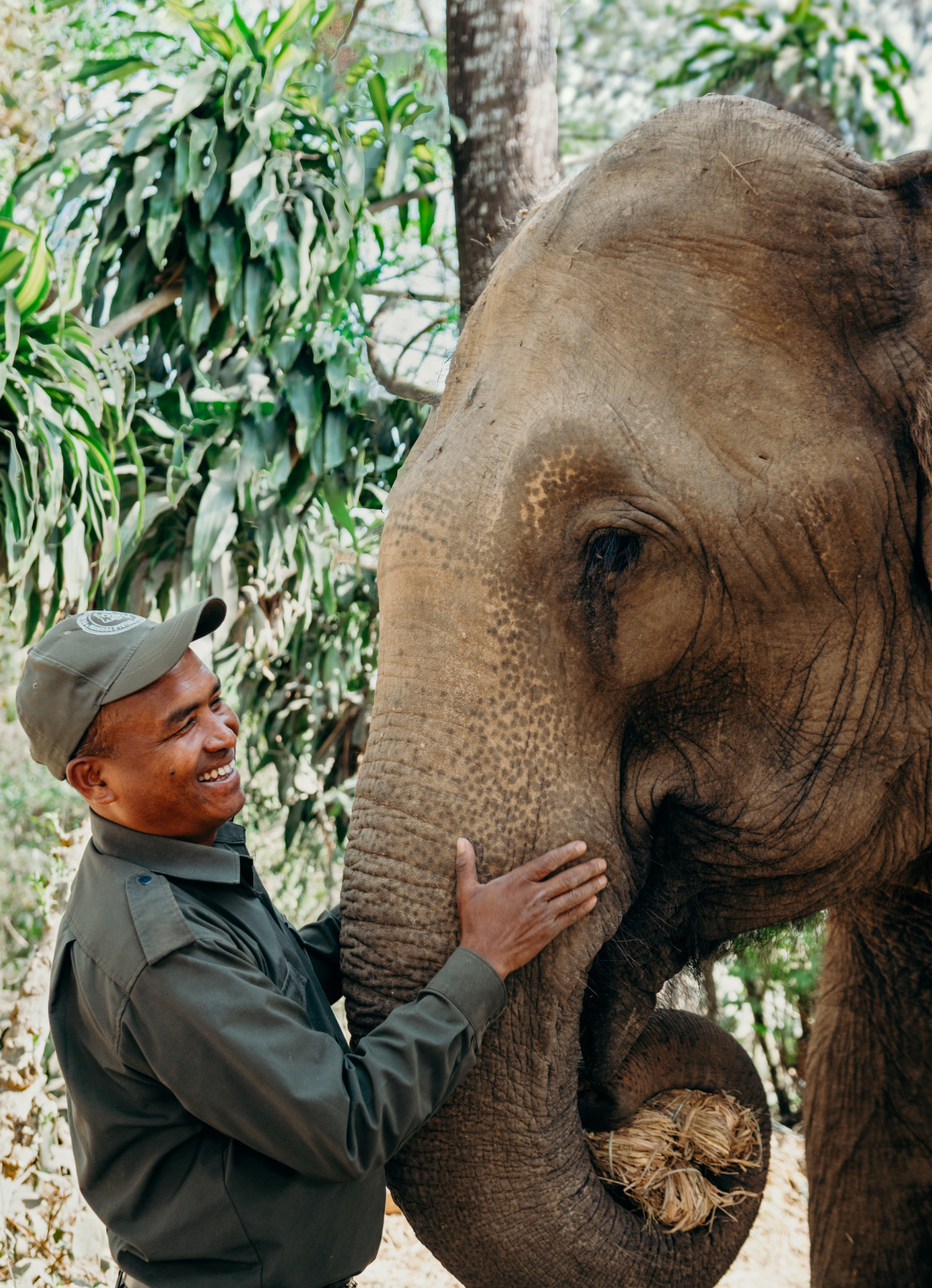 elephant-care