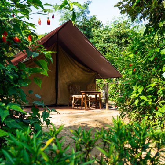 lodge-img