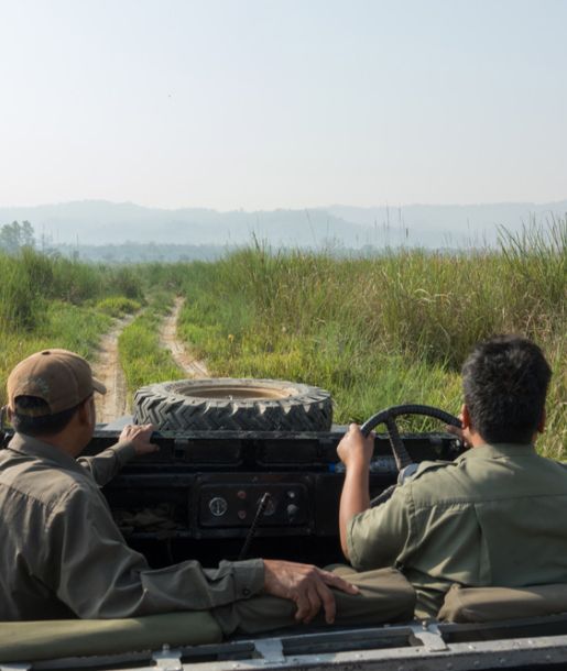 jeep-safari