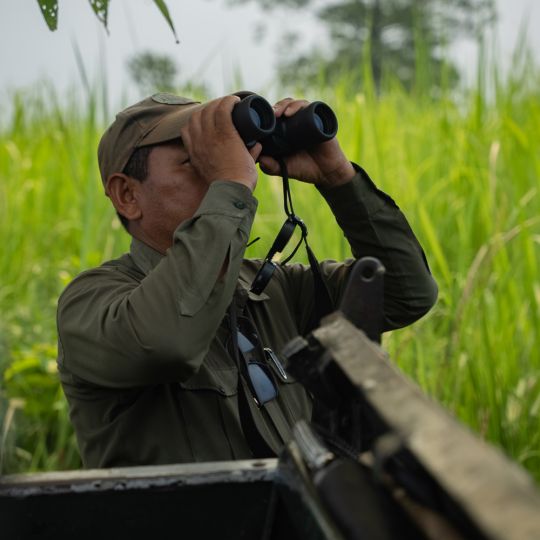 looking-for